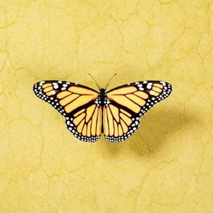 女生开过包以后电影
